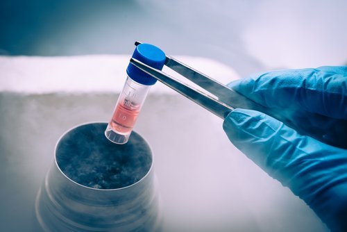Stem Cell Therapy Illustration